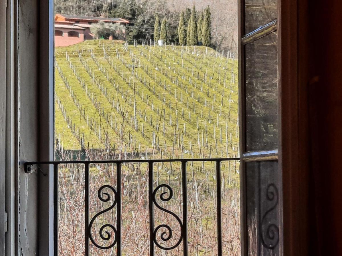 Agriturismo Tenuta Adamo Lucca Exterior photo